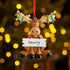 Personalised Family Christmas Xmas Tree Decoration Ornament - Reindeer in Lights