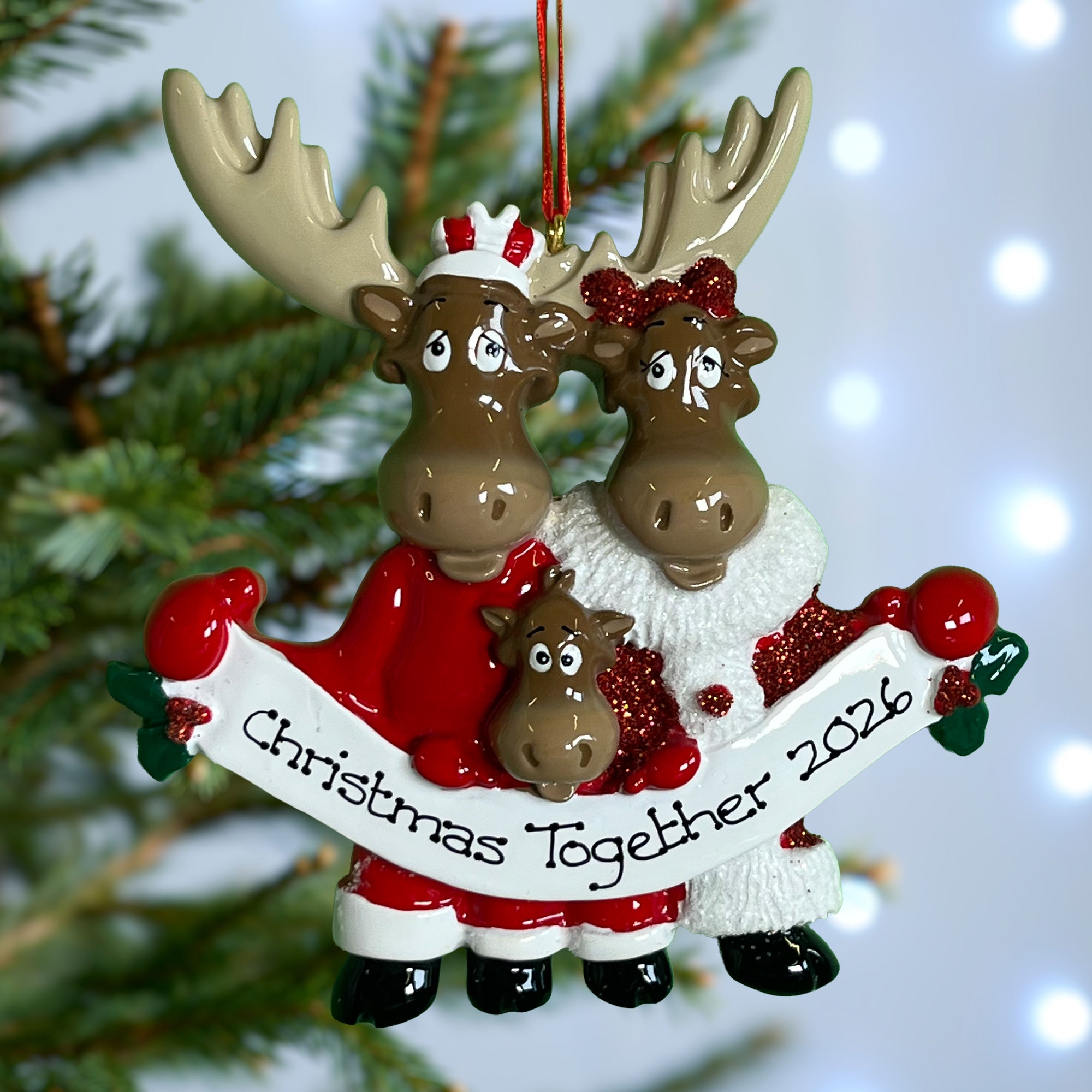 Personalised Moose Family Christmas decoration - Family of 3