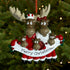 Personalised Moose Family Christmas decoration - Family of 5